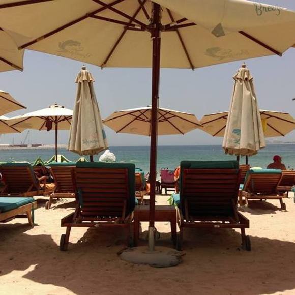 Meet your Posher, Ankita - Picture 1 of 1